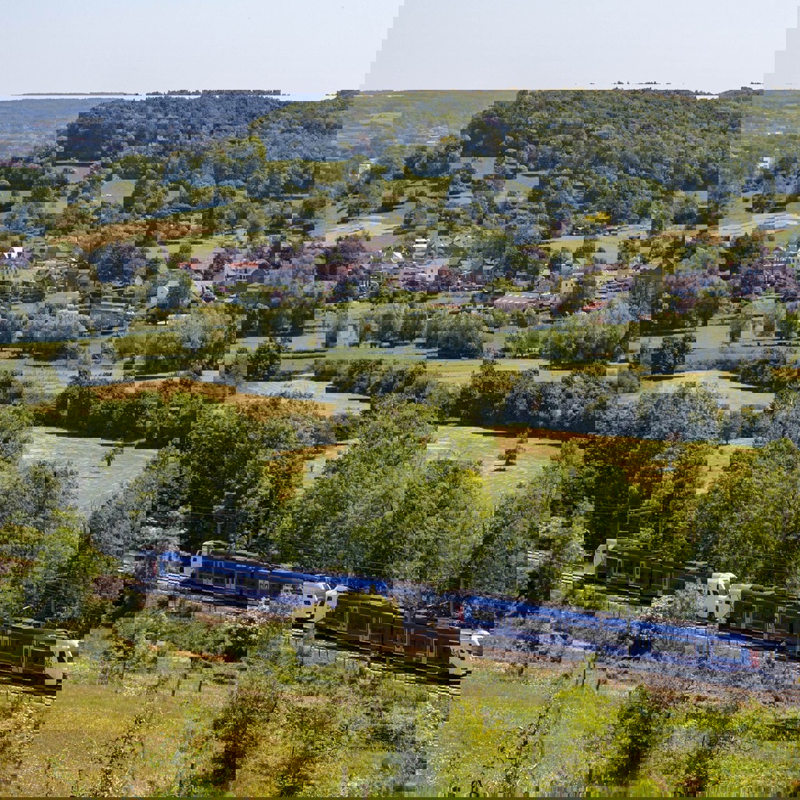 Een Arriva trein rijdt door het groene heuvellandschap